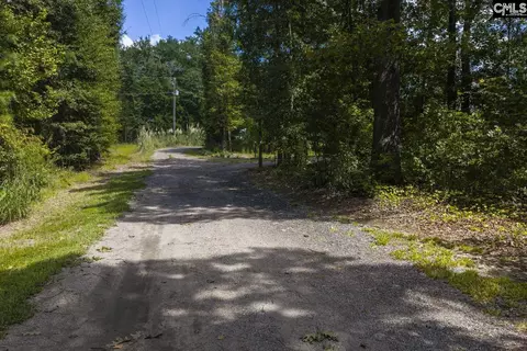 Other - 303 Juniper Springs Rd, Gilbert, SC 29054 photo 18 of 22