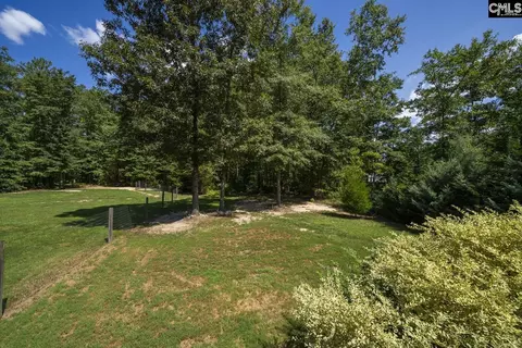 Exterior - 303 Juniper Springs Rd, Gilbert, SC 29054 photo 14 of 16