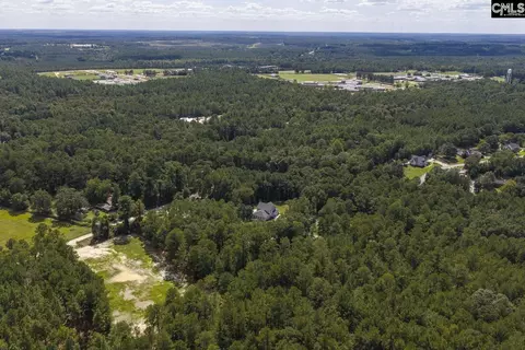View/Area - 303 Juniper Springs Rd, Gilbert, SC 29054 photo 6 of 9