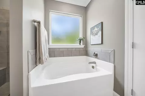 Bath - 303 Juniper Springs Rd, Gilbert, SC 29054 photo 4 of 6