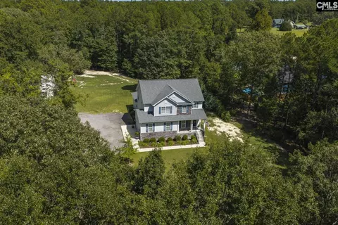 View/Area - 303 Juniper Springs Rd, Gilbert, SC 29054 photo 1 of 9