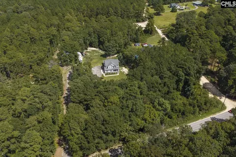 View/Area - 303 Juniper Springs Rd, Gilbert, SC 29054 photo 3 of 9