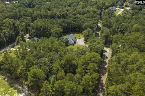 View/Area - 303 Juniper Springs Rd, Gilbert, SC 29054 photo 7 of 9