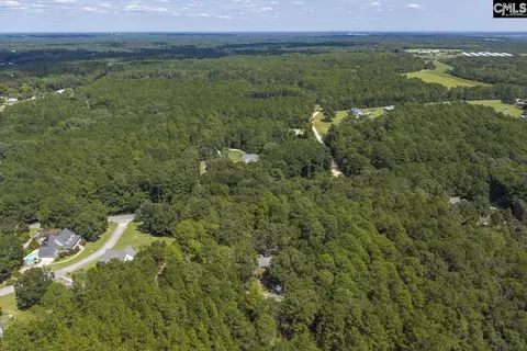 View/Area - 303 Juniper Springs Rd, Gilbert, SC 29054 photo 4 of 9