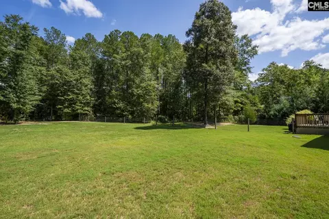 Exterior - 303 Juniper Springs Rd, Gilbert, SC 29054 photo 10 of 16