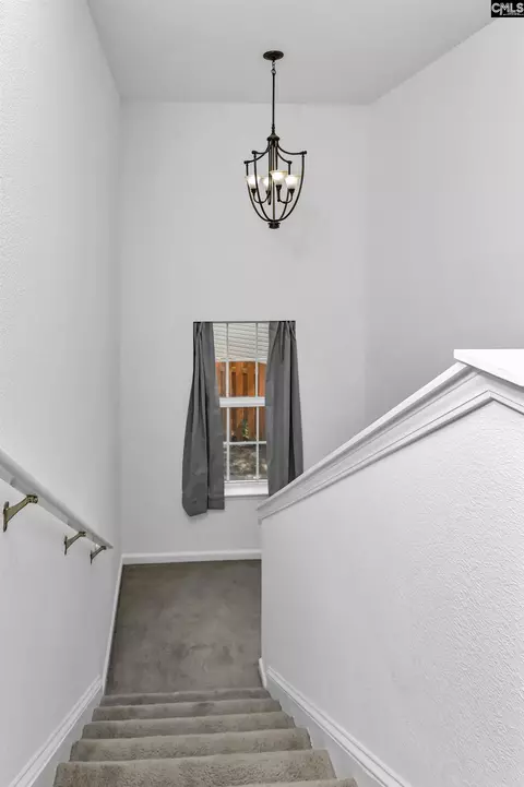 Entry Way - 48 Rustyred Ct, Chapin, SC 29036 photo 2 of 3