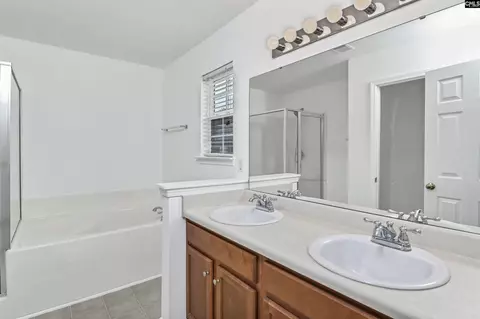 Bath - 48 Rustyred Ct, Chapin, SC 29036 photo 1 of 8