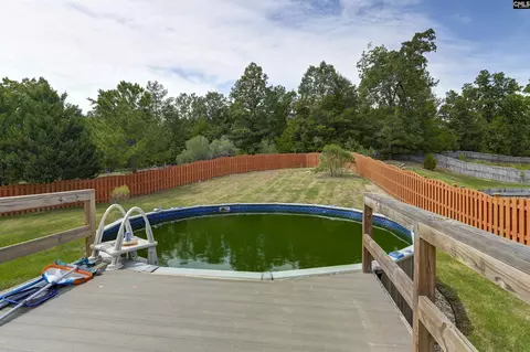 Exterior - 48 Rustyred Ct, Chapin, SC 29036 photo 11 of 15