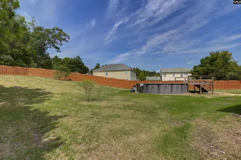 Exterior - 48 Rustyred Ct, Chapin, SC 29036 photo 4 of 15