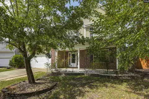 Exterior - 48 Rustyred Ct, Chapin, SC 29036 photo 15 of 15