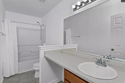 Bath - 48 Rustyred Ct, Chapin, SC 29036 photo 8 of 8
