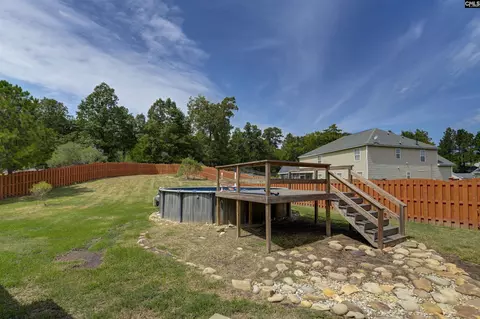 Exterior - 48 Rustyred Ct, Chapin, SC 29036 photo 8 of 15