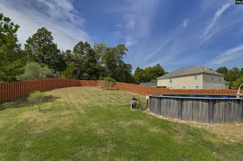 Exterior - 48 Rustyred Ct, Chapin, SC 29036 photo 5 of 15