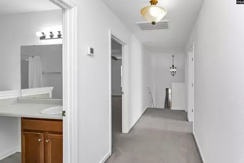 Entry Way - 48 Rustyred Ct, Chapin, SC 29036 photo 3 of 3