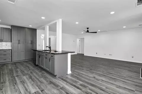 Other - 48 Rustyred Ct, Chapin, SC 29036 photo 3 of 13