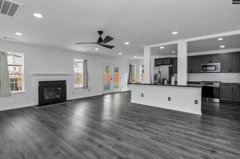 Other - 48 Rustyred Ct, Chapin, SC 29036 photo 1 of 13