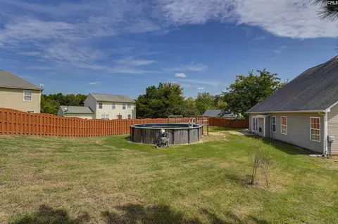 Exterior - 48 Rustyred Ct, Chapin, SC 29036 photo 7 of 15