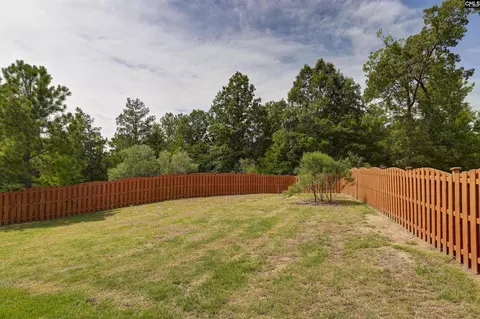 Exterior - 48 Rustyred Ct, Chapin, SC 29036 photo 2 of 15