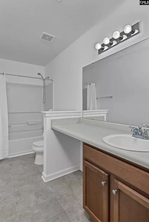 Bath - 48 Rustyred Ct, Chapin, SC 29036 photo 7 of 8