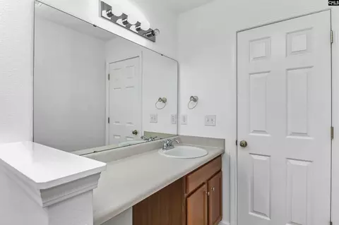 Bath - 48 Rustyred Ct, Chapin, SC 29036 photo 6 of 8