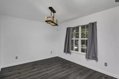Other - 48 Rustyred Ct, Chapin, SC 29036 photo 5 of 13