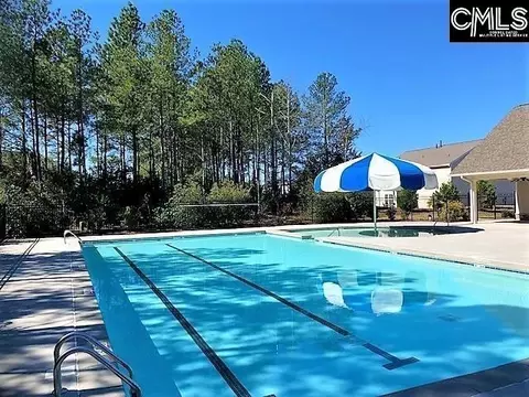 Exterior - 534 Eagles Rest Dr, Chapin, SC 29036 photo 5 of 5