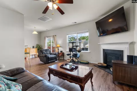 Other - 534 Eagles Rest Dr, Chapin, SC 29036 photo 1 of 9