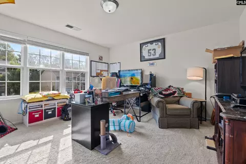 Other - 534 Eagles Rest Dr, Chapin, SC 29036 photo 3 of 9