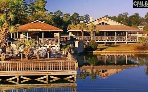 Other - 534 Eagles Rest Dr, Chapin, SC 29036 photo 9 of 9