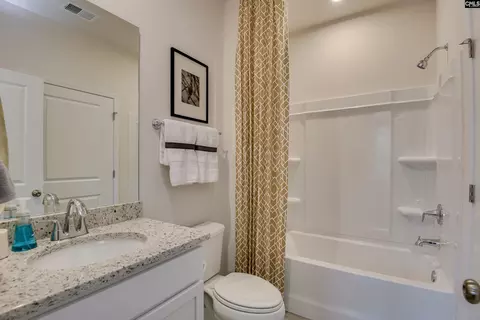 Bath - 219 Ruby Prince Way, Lexington, SC 29073 photo 4 of 4