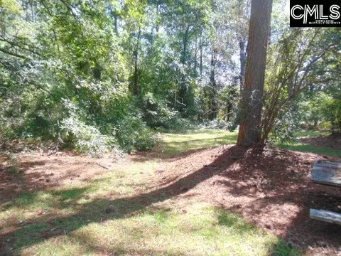 Exterior - 219 Walter Taylor Rd, Gilbert, SC 29054 photo 8 of 13