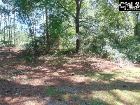 Other - 219 Walter Taylor Rd, Gilbert, SC 29054 photo 6 of 7