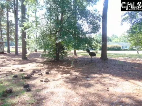 Exterior - 219 Walter Taylor Rd, Gilbert, SC 29054 photo 12 of 13