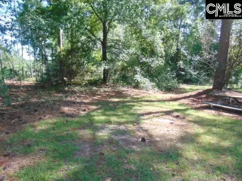 Exterior - 219 Walter Taylor Rd, Gilbert, SC 29054 photo 11 of 13
