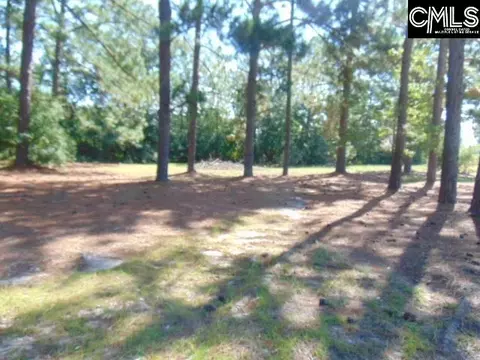 Other - 219 Walter Taylor Rd, Gilbert, SC 29054 photo 7 of 7