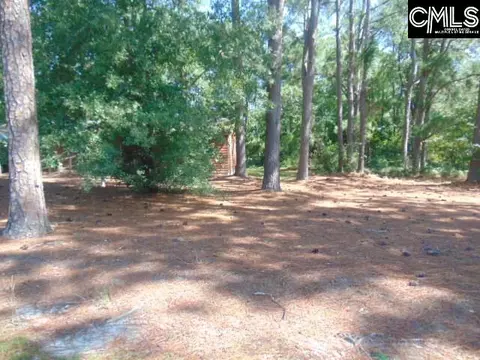 Exterior - 219 Walter Taylor Rd, Gilbert, SC 29054 photo 10 of 13