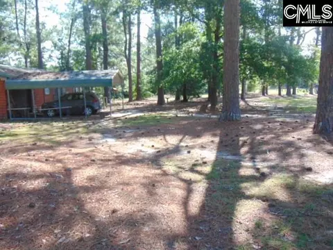 Exterior - 219 Walter Taylor Rd, Gilbert, SC 29054 photo 9 of 13