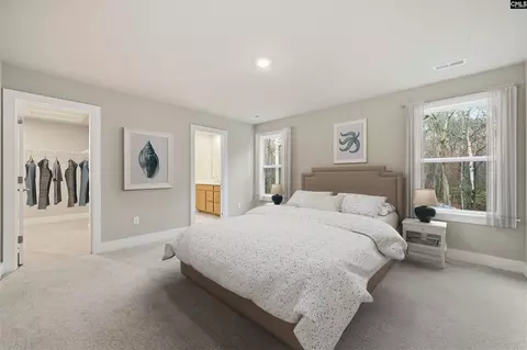 Bedroom - 643 Griffon Dr, Chapin, SC 29036 photo 6 of 9