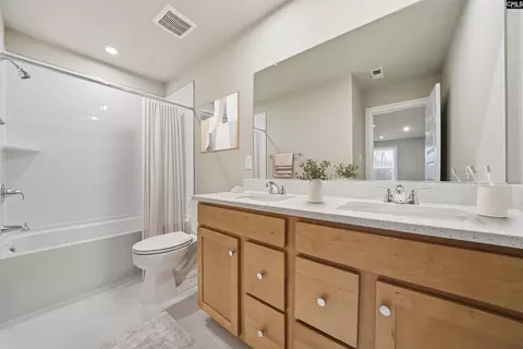 Bath - 643 Griffon Dr, Chapin, SC 29036 photo 4 of 4