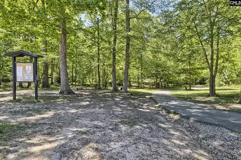 Other - 643 Griffon Dr, Chapin, SC 29036 photo 9 of 9