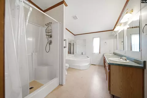 Bath - 258 Rimrock Rd, Gilbert, SC 29054 photo 2 of 2