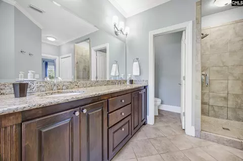 Bath - 1148 Point View Rd, Chapin, SC 29036 photo 9 of 9