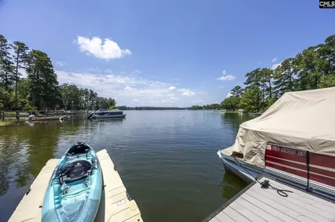 View/Area - 1148 Point View Rd, Chapin, SC 29036 photo 3 of 4