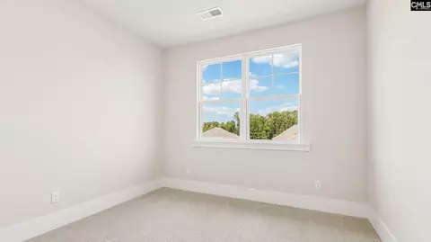 607 Shining Sun Ct, Gilbert, SC 29054 photo 15
