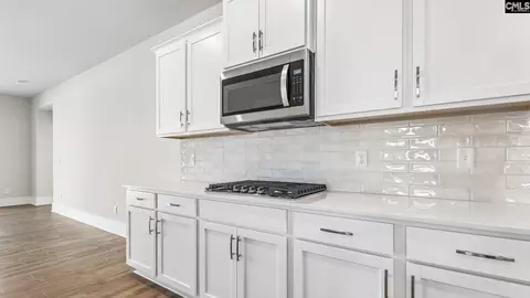 607 Shining Sun Ct, Gilbert, SC 29054 photo 3