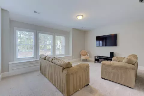 Other - 291 Palm Sedge Loop, Elgin, SC 29045 photo 7 of 10