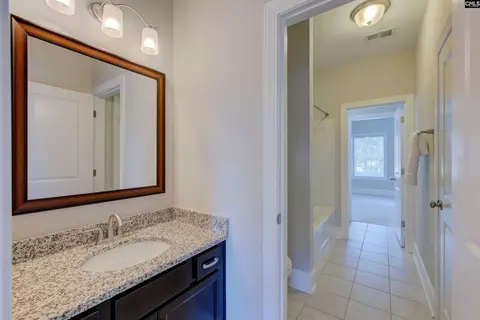 Bath - 291 Palm Sedge Loop, Elgin, SC 29045 photo 4 of 6