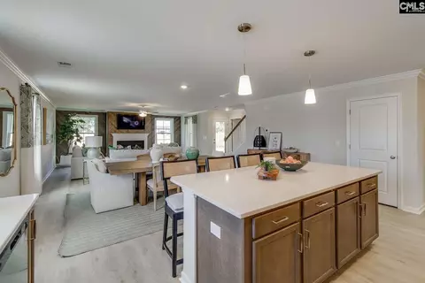 Other - 210 Denington Dr, Elgin, SC 29045 photo 4 of 13