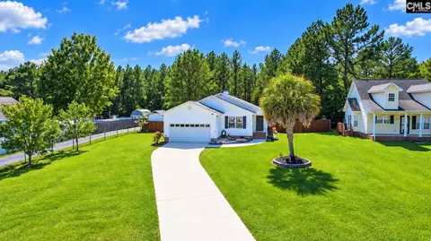 539 Old Bush River Rd, Chapin, SC 29036