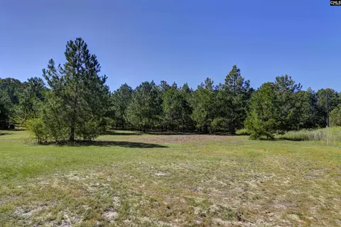 235 Peachtree Ext, Gilbert, SC 29054 photo 10